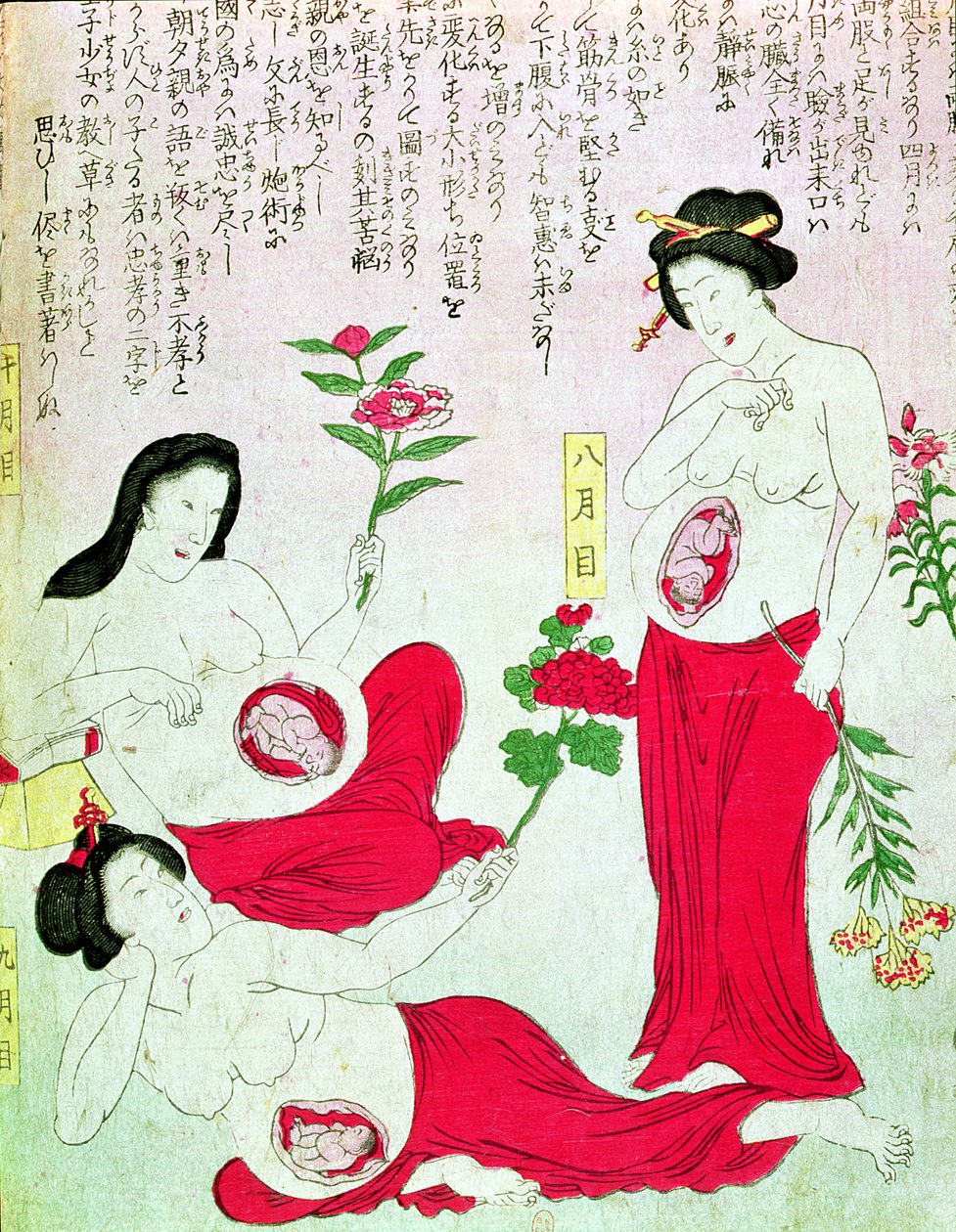 Mujeres embarazadas, 1881 de Japanese School