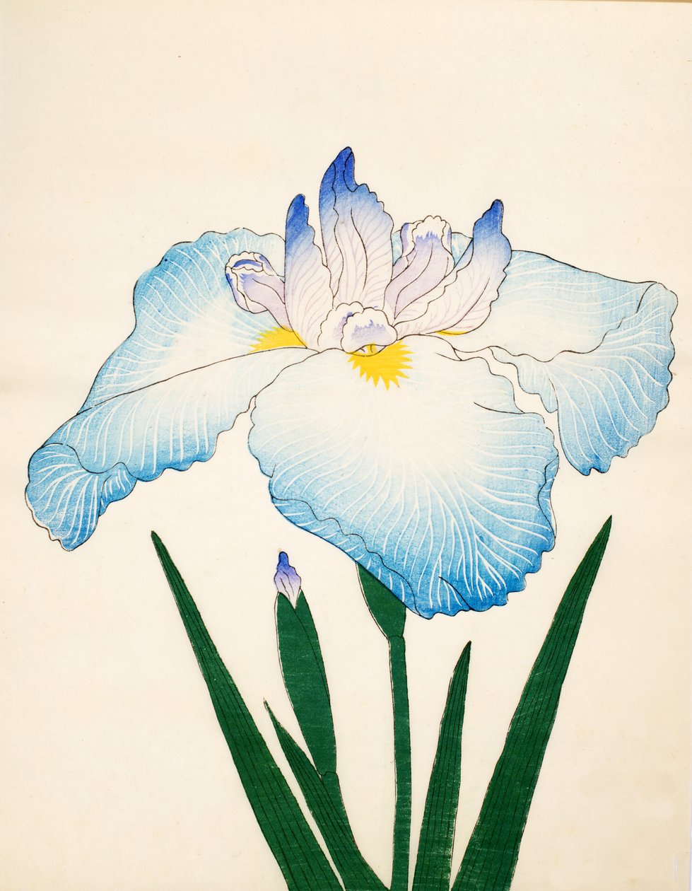 Sazanami, No. 68, 1890 de Japanese School