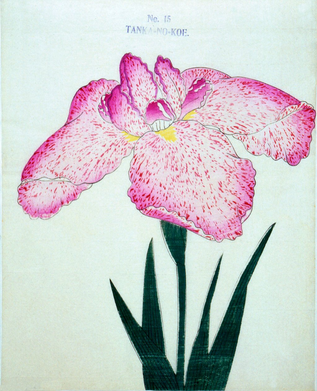 Tanka-no.-Koe, no.15, 1898 de Japanese School