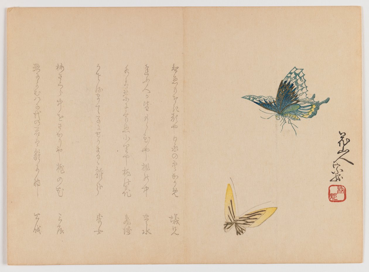 Dos mariposas, c.1860 de Japanese School