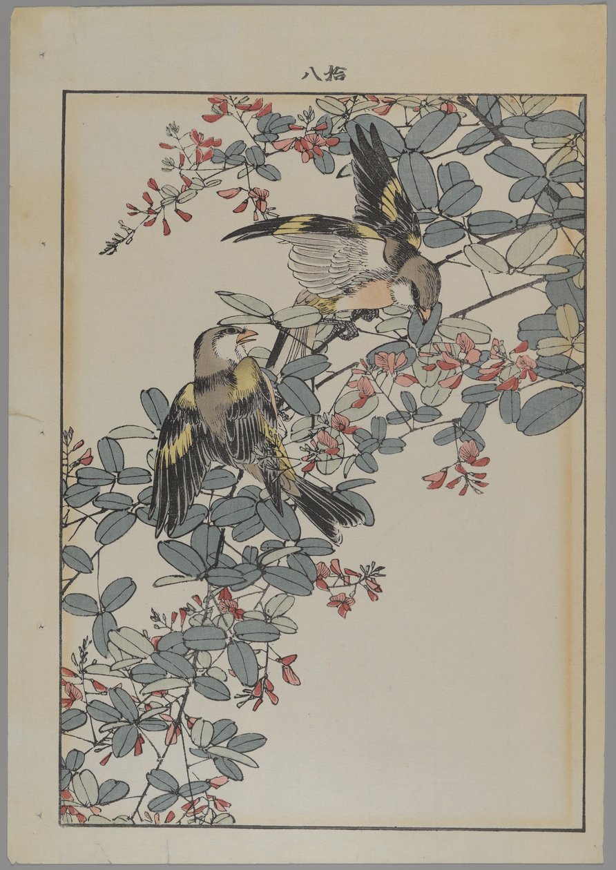 Dos pájaros con flores rosadas, período Meiji, c.1868-1912 de Japanese School