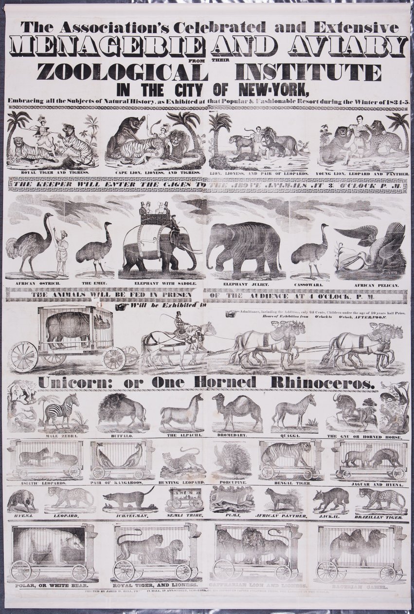 La célebre y extensa colección de la Asociación de Menagerie y Aviary de su Instituto Zoológico en la Ciudad de Nueva York de Jared W. Bell