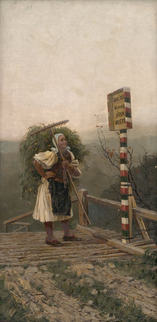 Cómo se llama nuestro pueblo... de Jaroslav Friedrich Julius Vesin