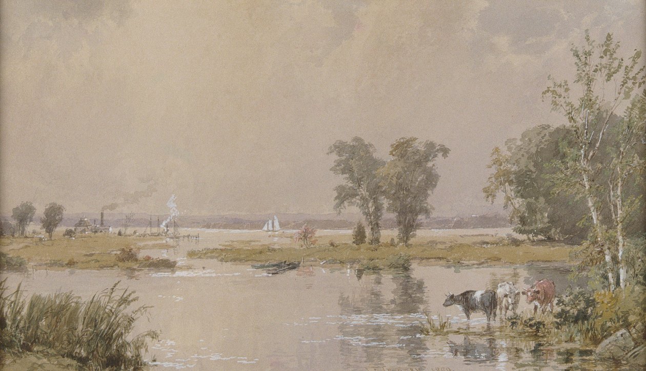 Hackensack Meadows de Jasper Francis Cropsey