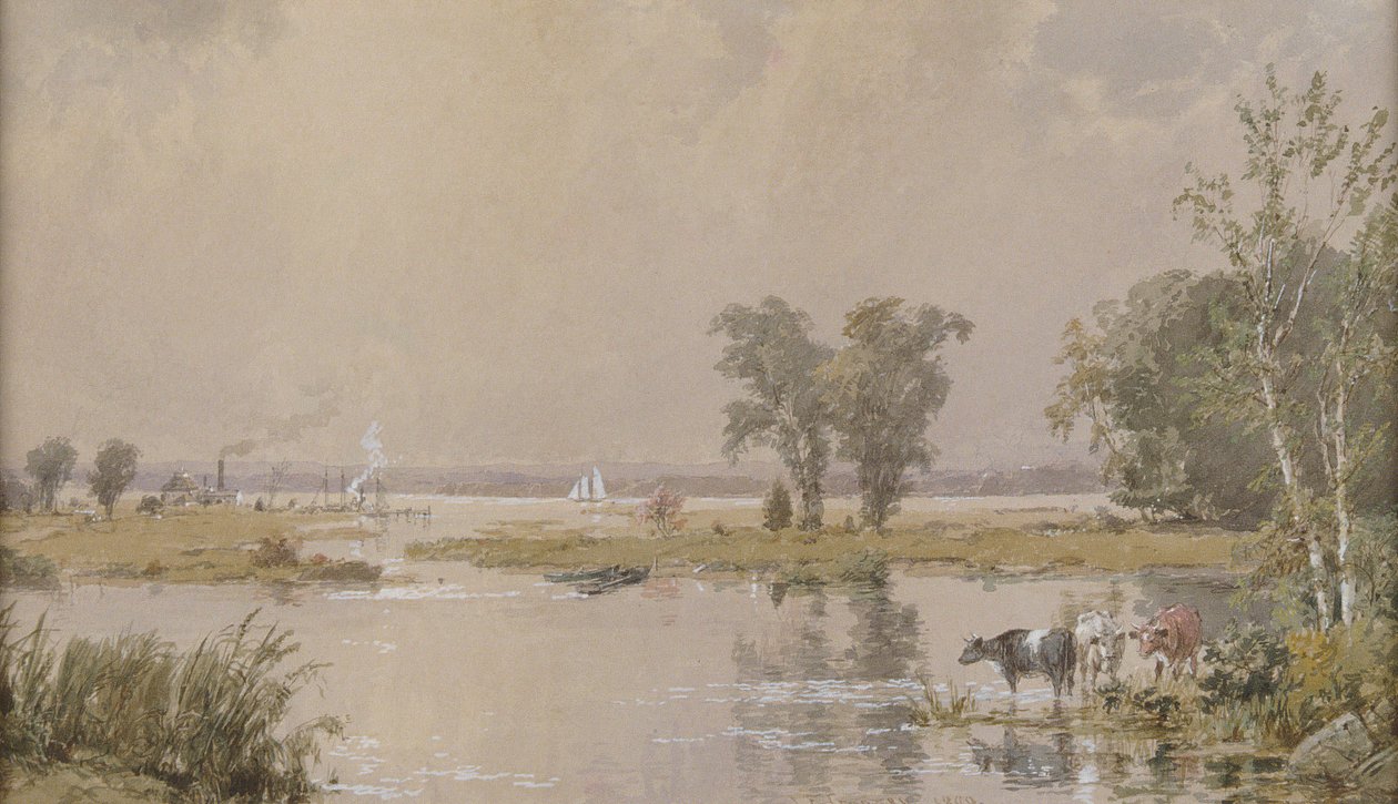 Hackensack Meadows, 1890 de Jasper Francis Cropsey