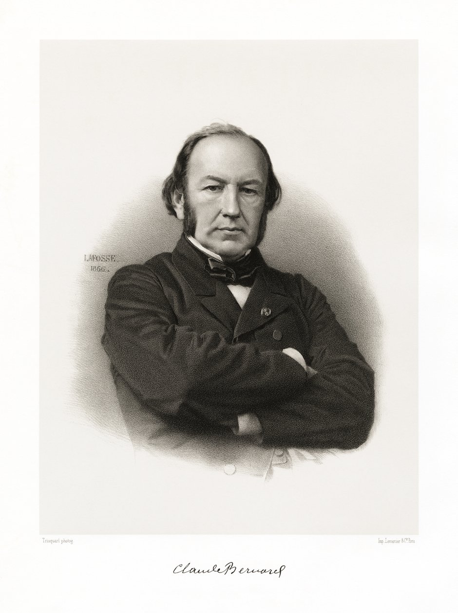 Claude Bernard de Jean Baptiste Adolphe Lafosse