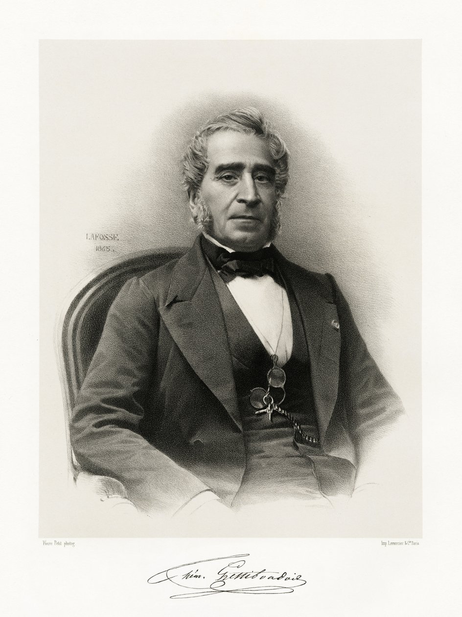 Gaspard Thémistocle Lestiboudois de Jean Baptiste Adolphe Lafosse