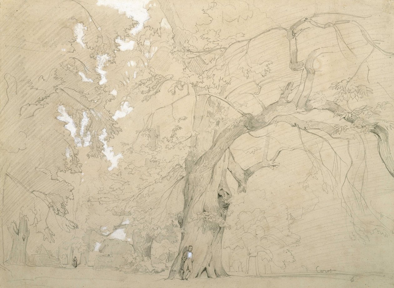 Un joven frente a un gran roble de Jean Baptiste Camille Corot