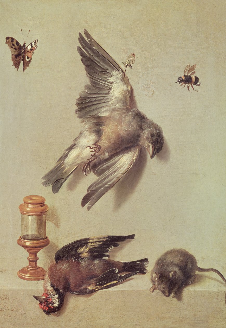 Naturaleza muerta de pájaros muertos y un ratón, 1712 de Jean Baptiste Oudry