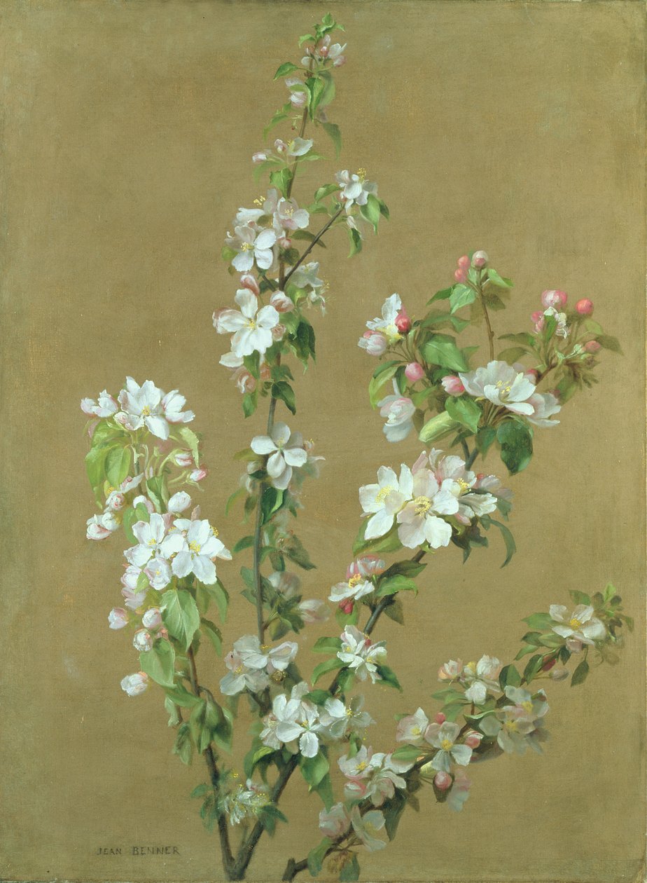 Flor de manzano de Jean Benner