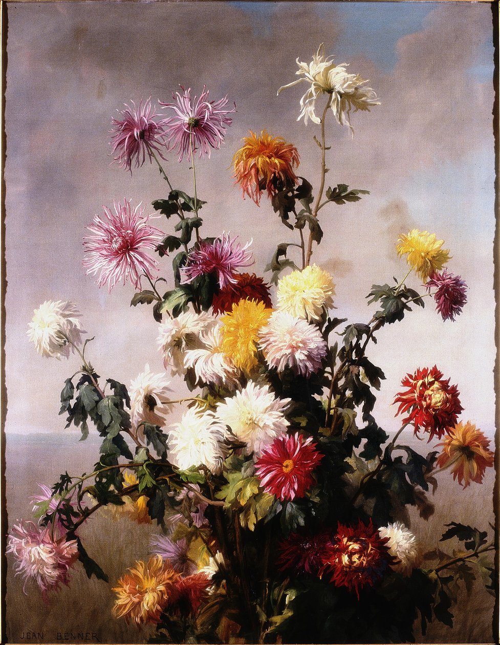 Estudio de flores de Jean Benner