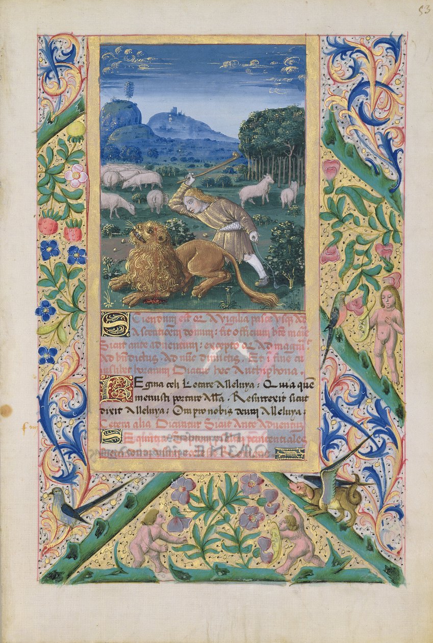 David defendiendo las ovejas de su padre contra un león, del 