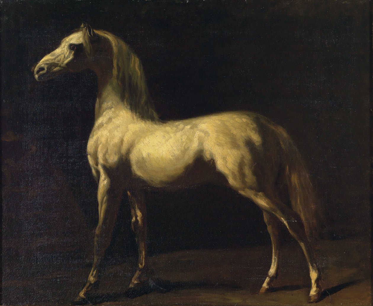 Un caballo de pie de Theodore Gericault