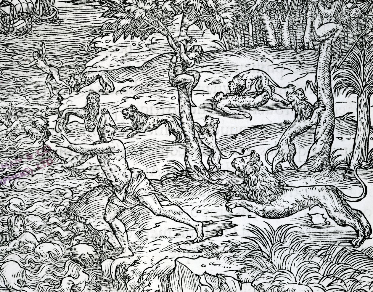 Leones atacando y comiendo humanos, ilustración de 