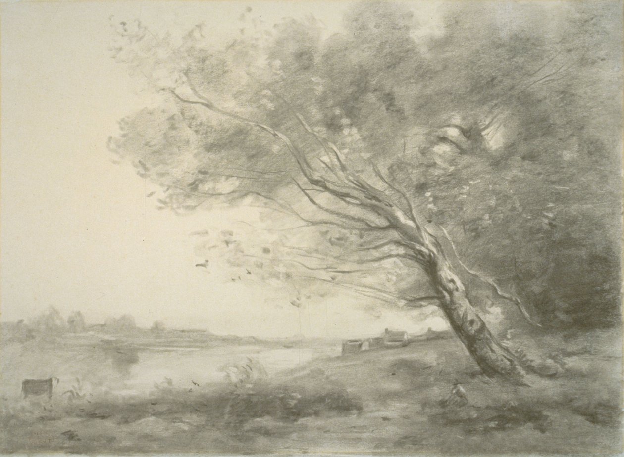 Árbol torcido junto al agua de Jean-Baptiste-Camille Corot