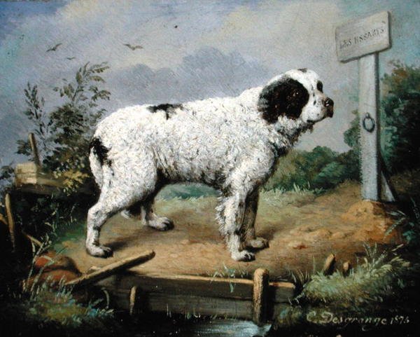 Un Terranova en un terraplén de Jean-Baptiste Desgrange