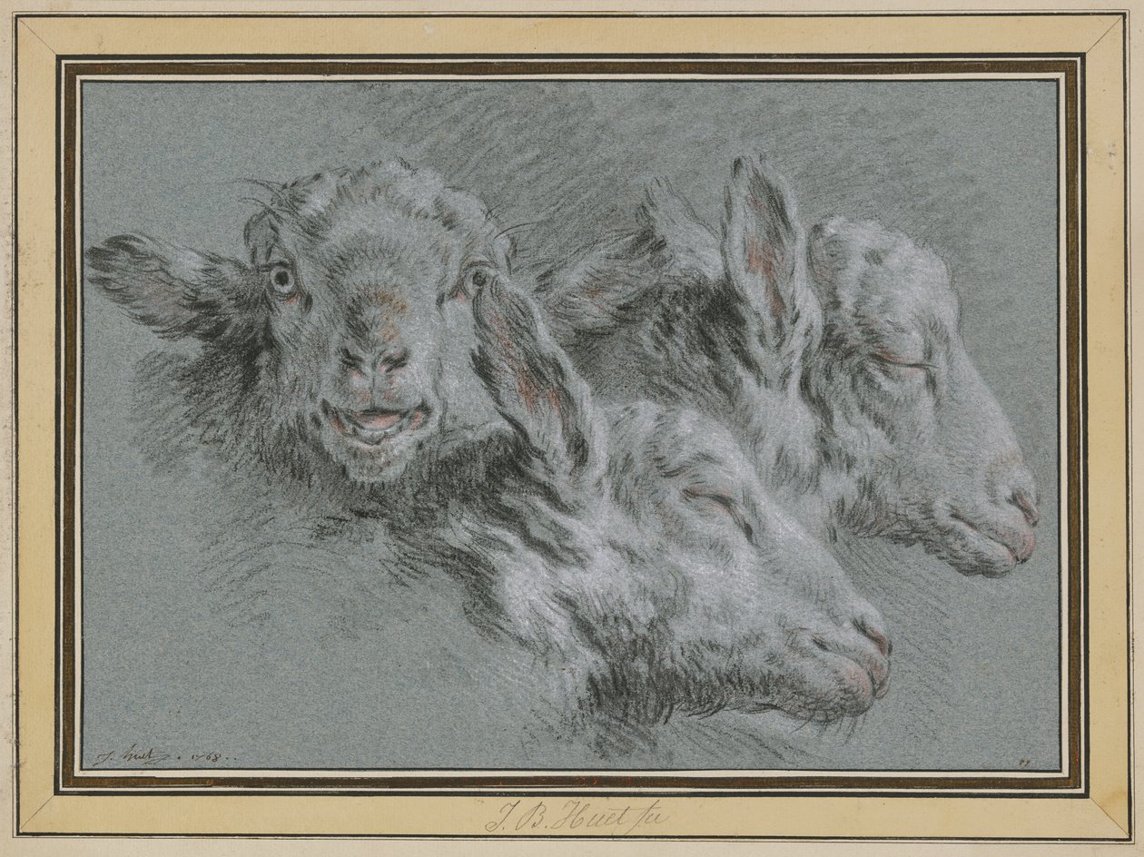 Tres cabezas de oveja, despiertas y dormidas de Jean-Baptiste Huet