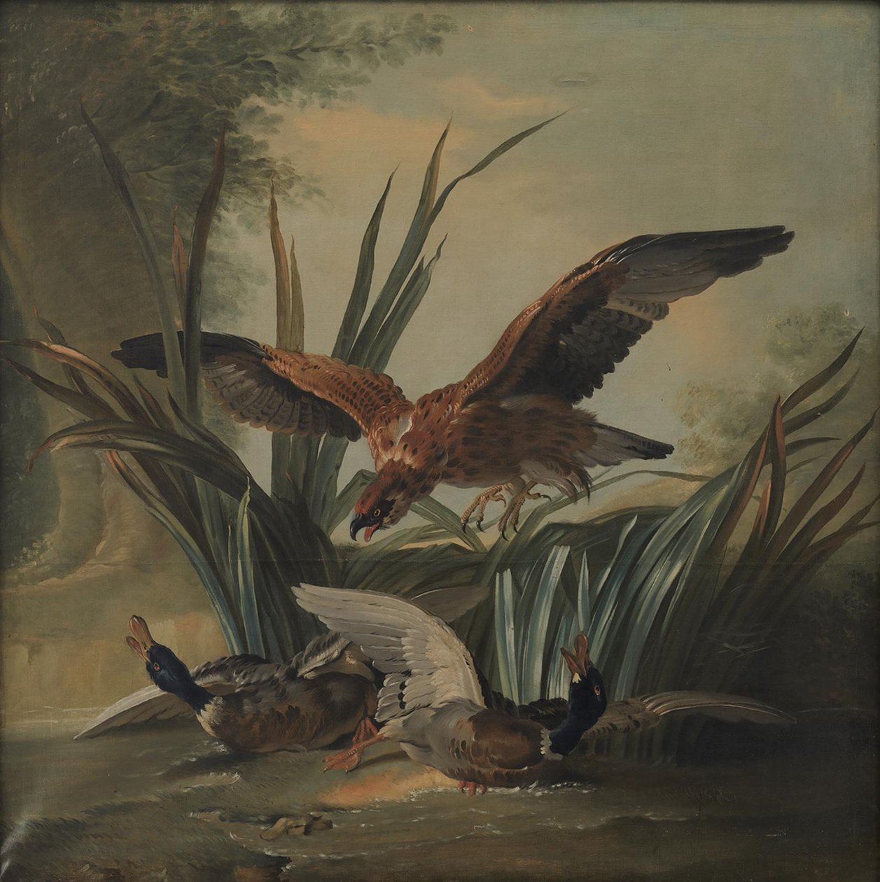 Un halcón atacando a un par de patos de Jean-Baptiste Oudry