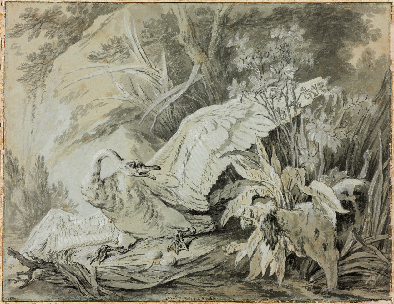 Un cisne salvaje atacado por un perro de Jean-Baptiste Oudry