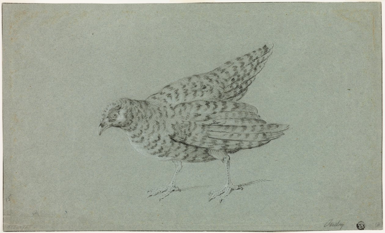 Perdiz de Jean-Baptiste Oudry