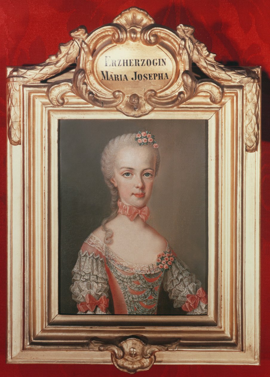Archiduquesa María Josefa (1751-67) hija de Francisco I y la emperatriz María Teresa de Austria, 1762 de Jean Étienne Liotard