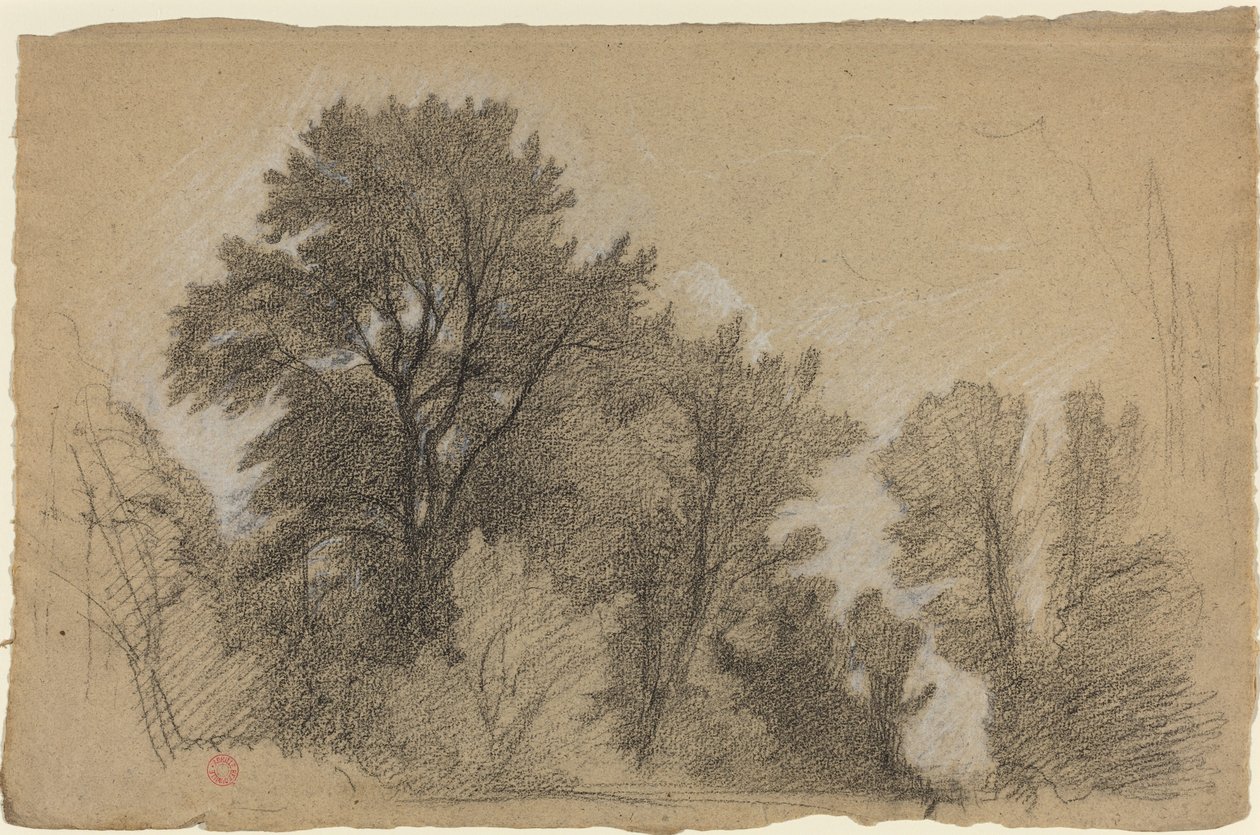 Borde de un bosque de Jean Achille Benouville