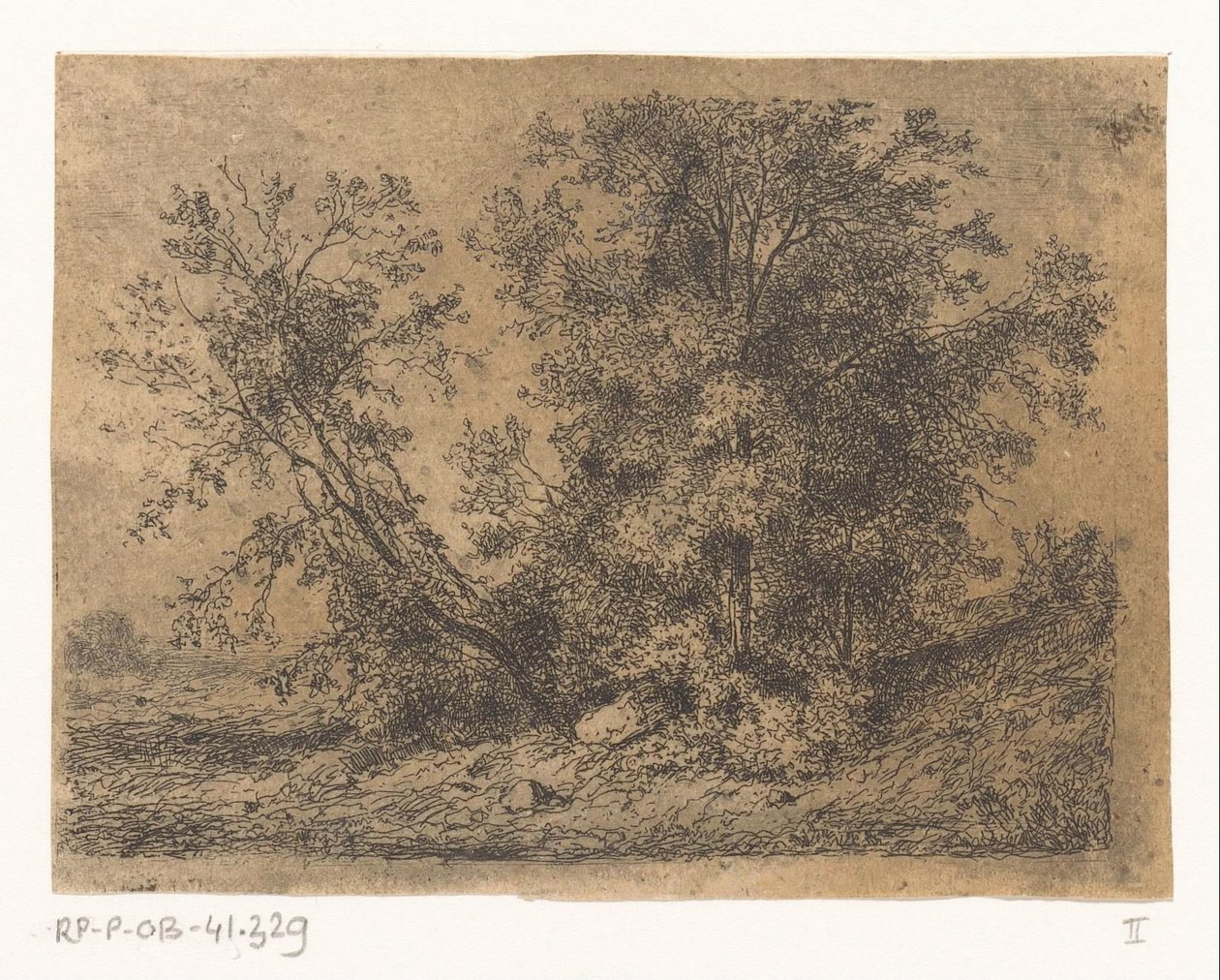 fiesta del arbol de Jean Alexis Achard