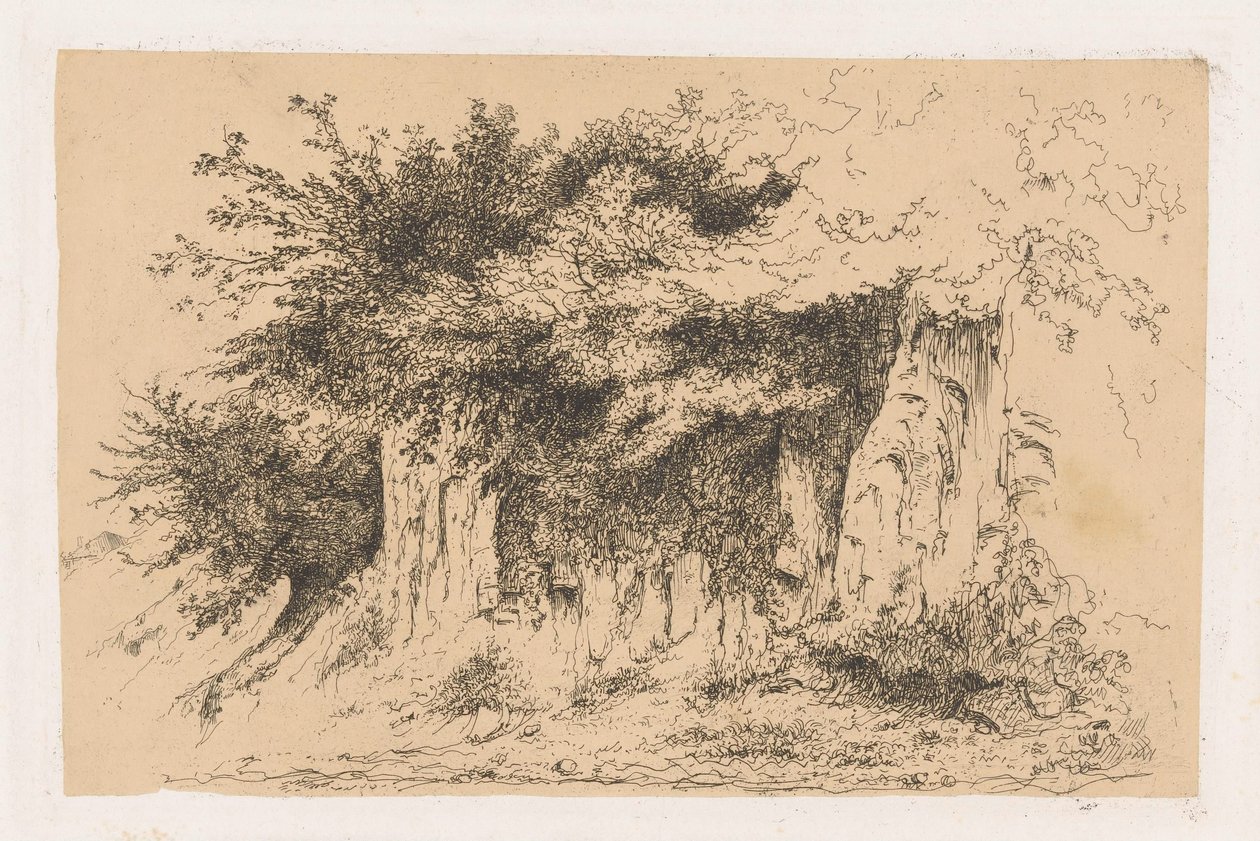 Arbustos en una pared de tierra de Jean Alexis Achard
