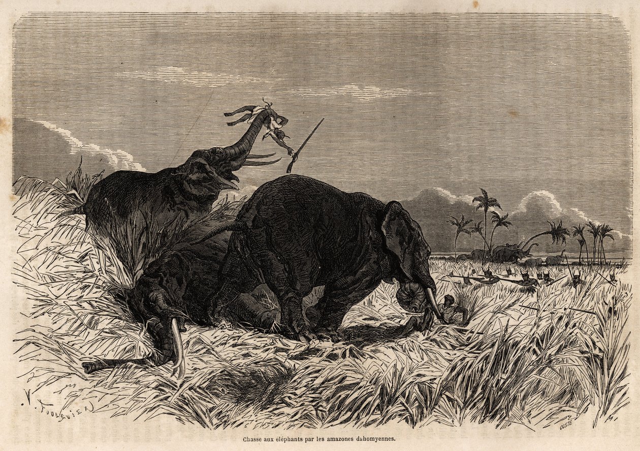La caza de elefantes por las Amazonas de Dahomey de Jean Antoine Valentin Foulquier