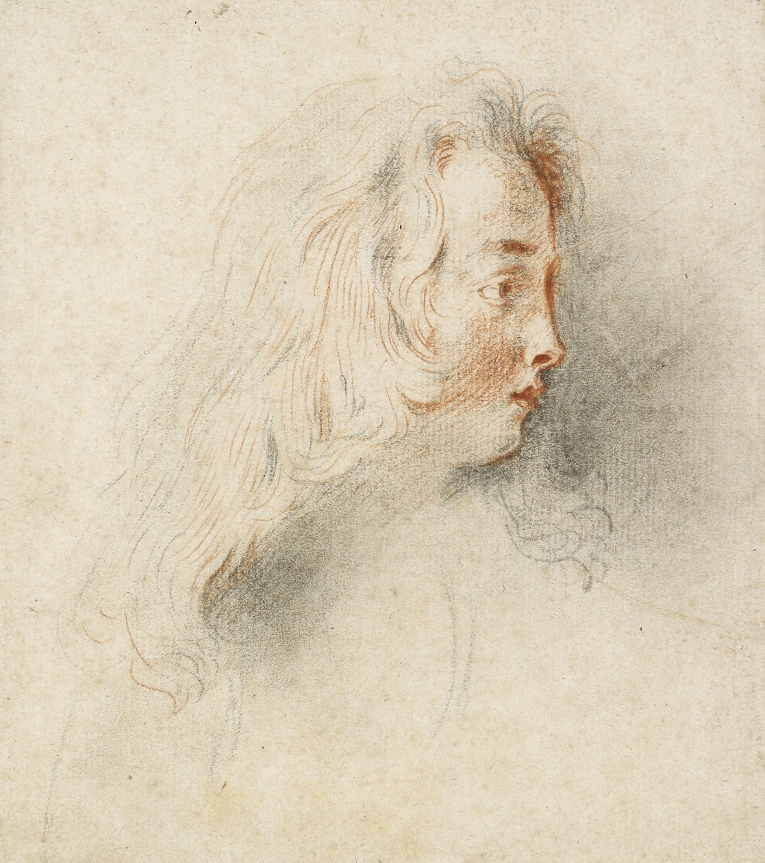 Cabeza de un niño en perfil de Jean Antoine Watteau