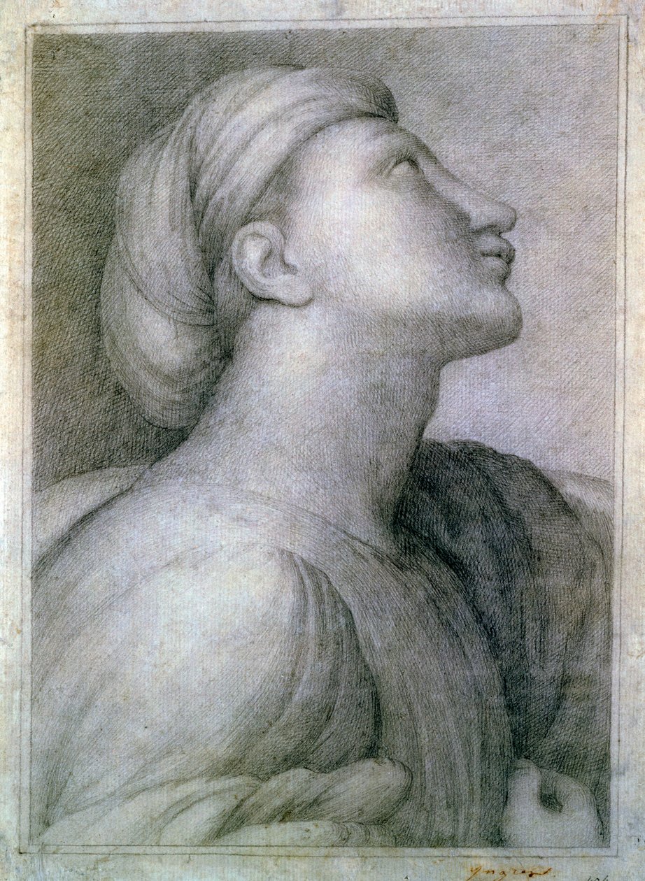 Perfil de la cara de Jean Auguste Dominique Ingres