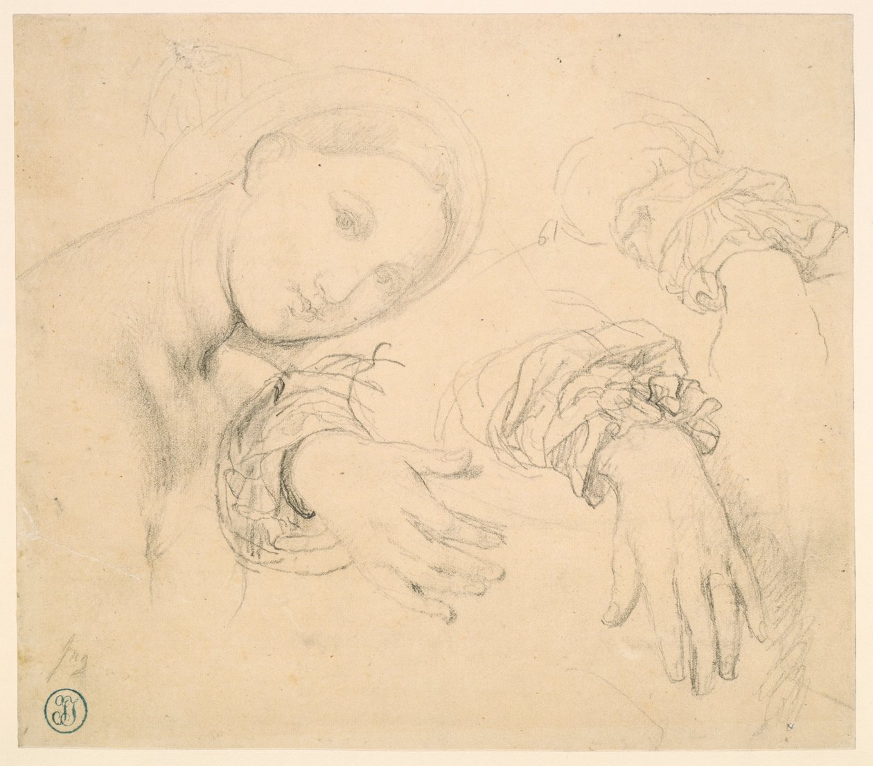 Hoja de estudios con la cabeza de la Fornarina y las manos de Madame de Senonnes de Jean Auguste Dominique Ingres