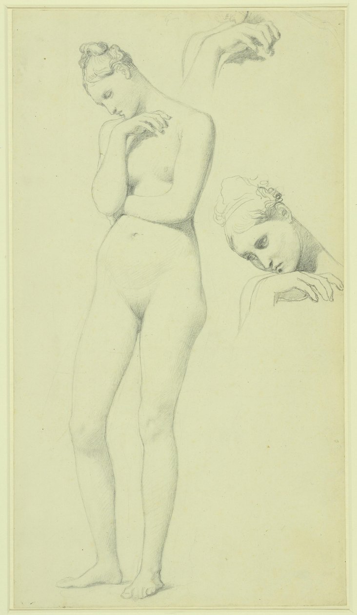 Estudios para la figura de Stratonice, c.1834-40 (lápiz sobre papel) de Jean Auguste Dominique Ingres