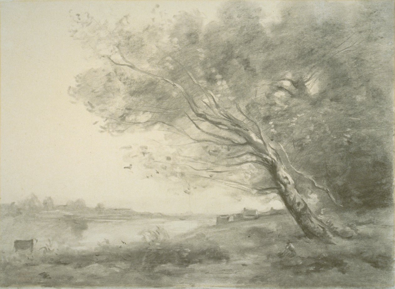 Árbol torcido junto al agua de Jean Baptiste Camille Corot