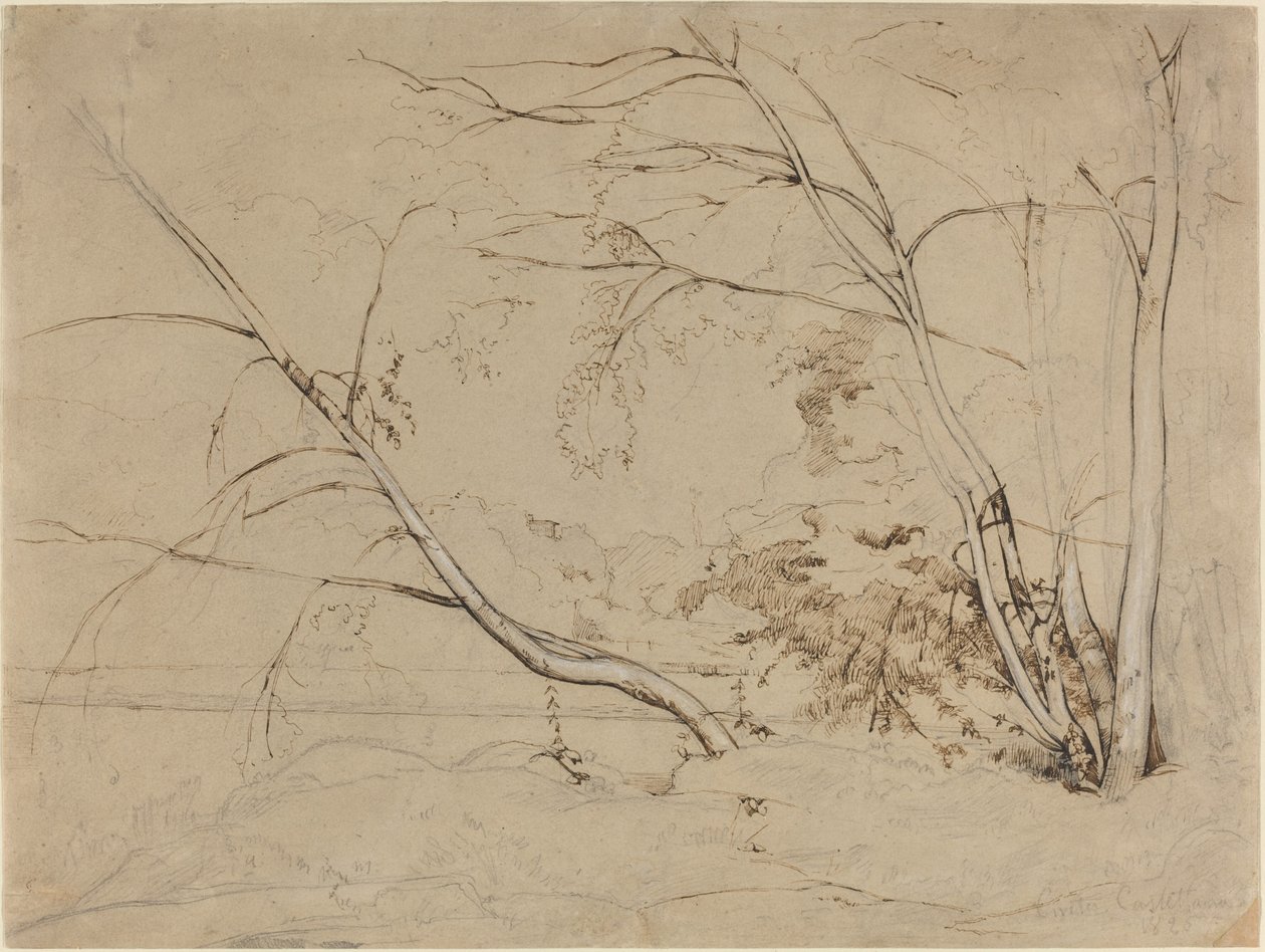 Grupo de Árboles en Civita Castellana de Jean Baptiste Camille Corot