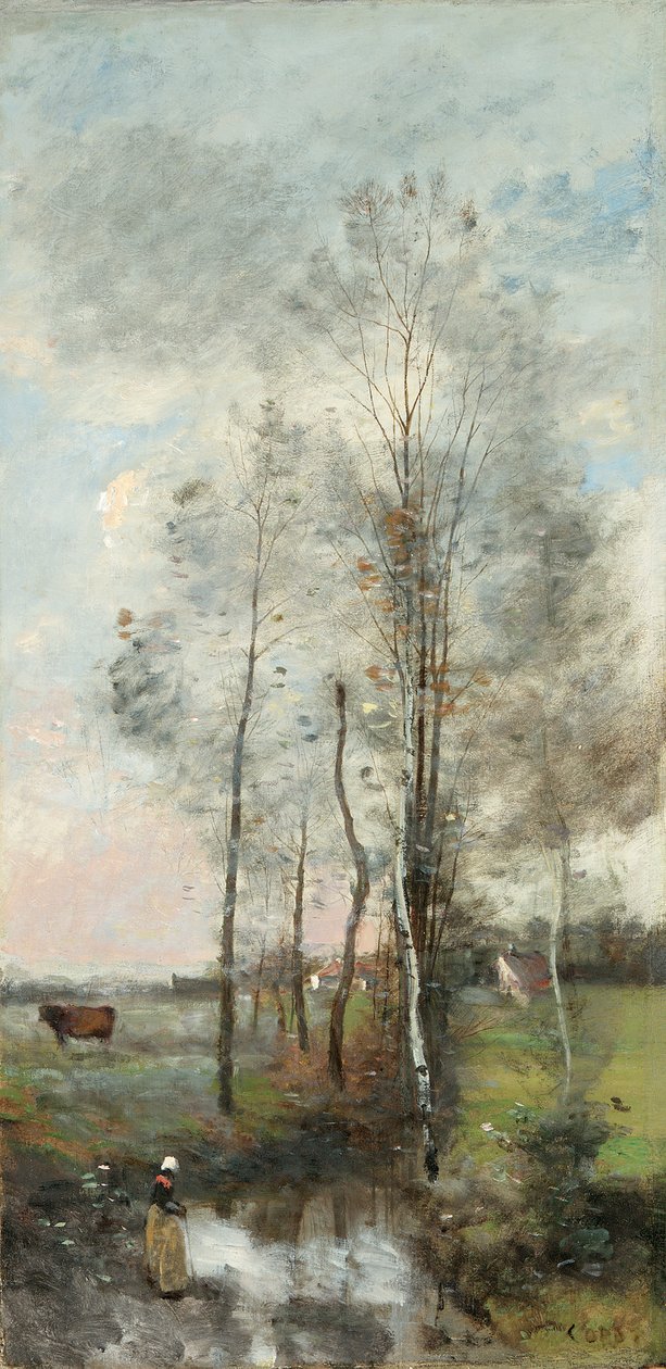 Bosque de alisos y abedules, 1865-70 de Jean Baptiste Camille Corot
