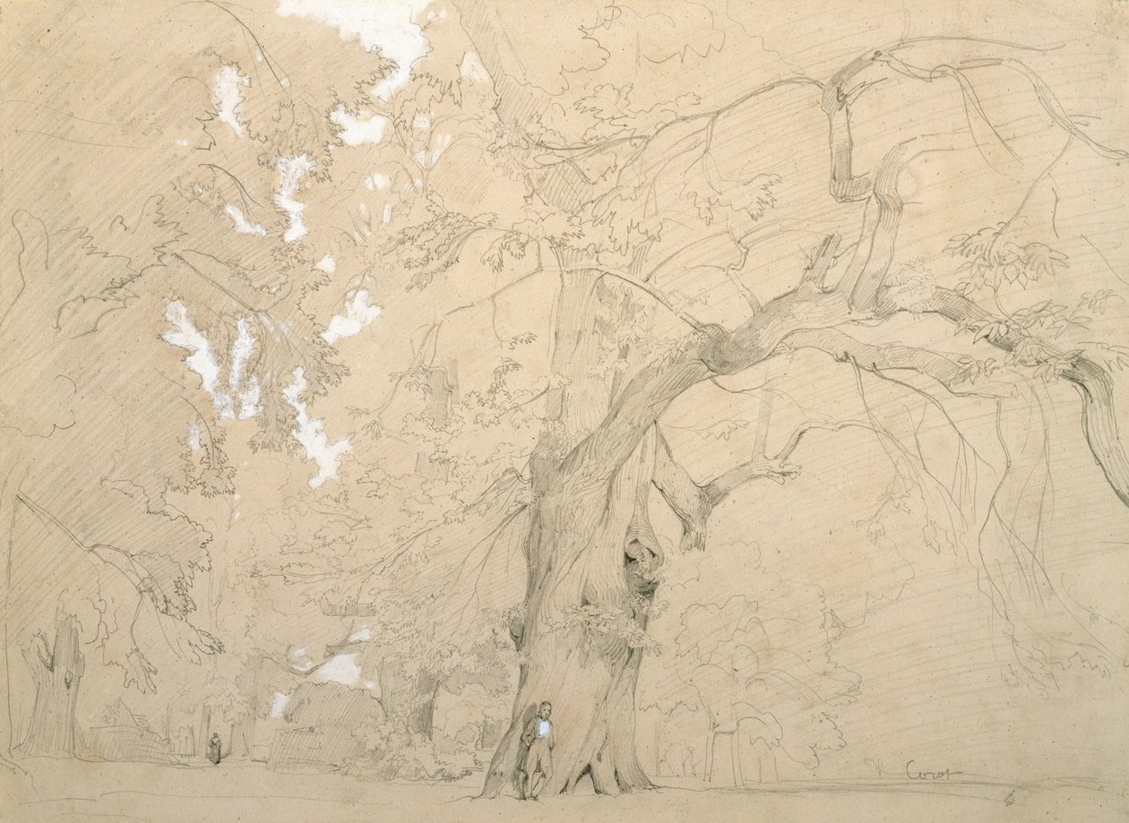 Joven frente a un gran roble, c.1840 de Jean Baptiste Camille Corot