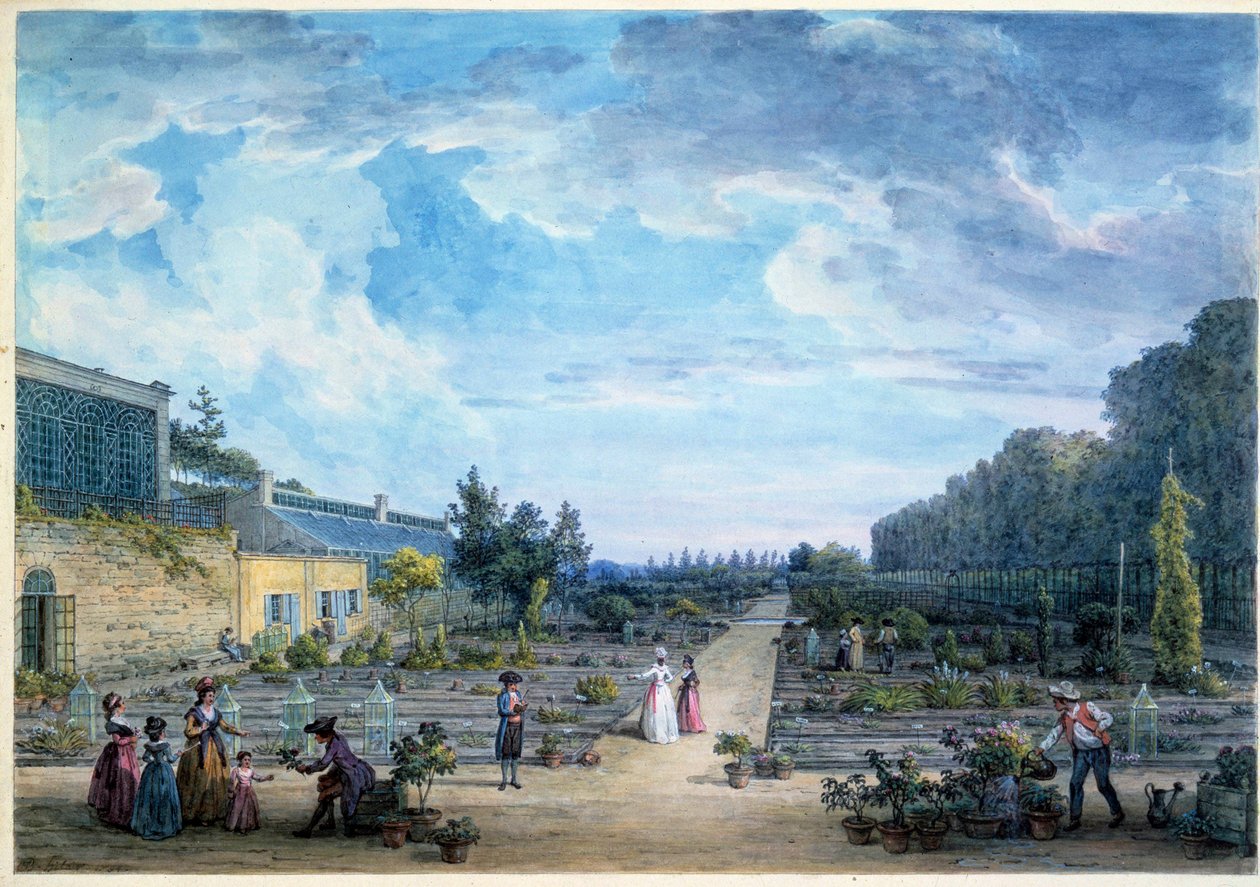 Vista del Jardín del Rey (actual Jardín de las Plantas) Litografía de Jean Baptiste Hilaire (1753-1822) 1794 París, B.N. de Jean Baptiste Hilaire