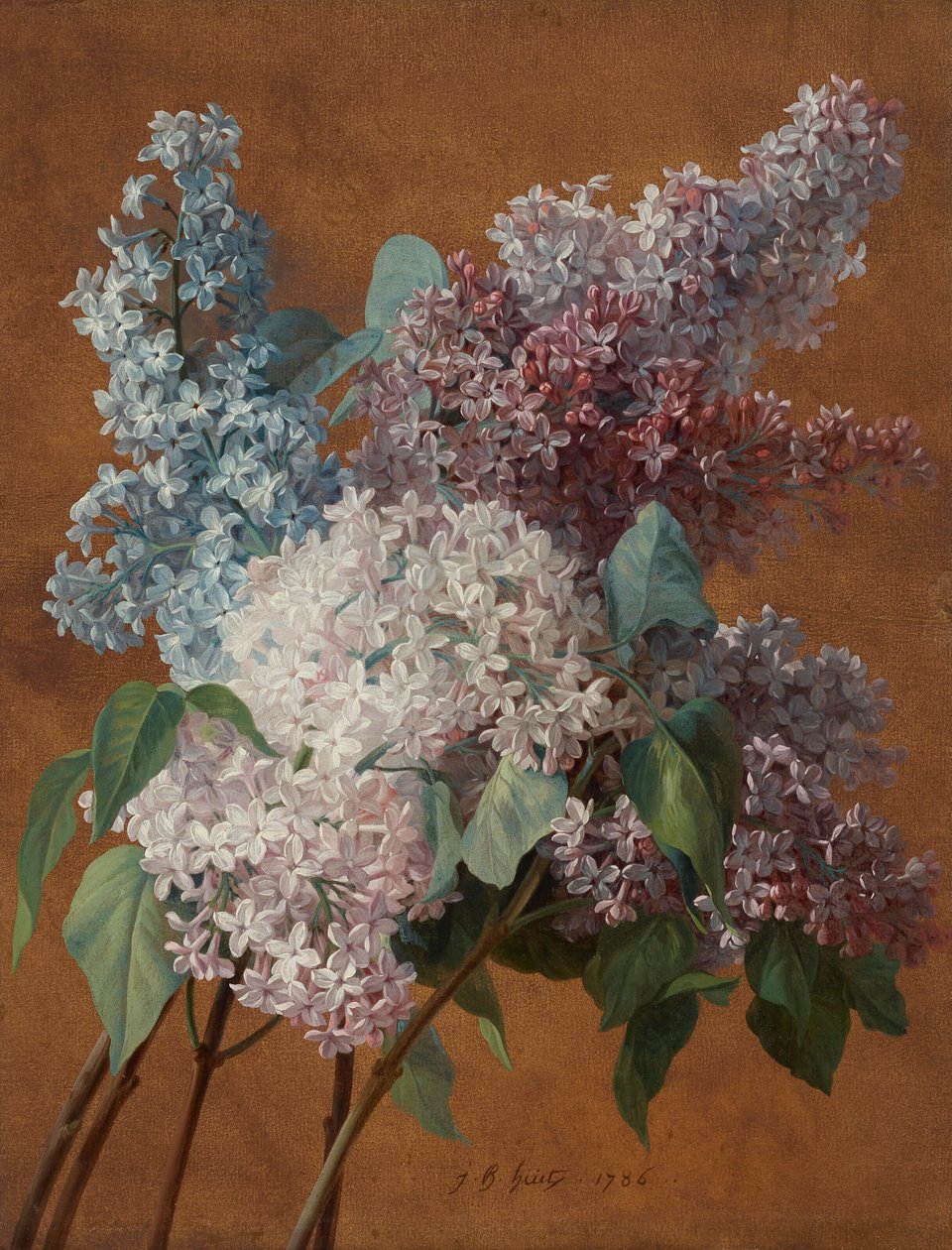 Un estudio sobre las lilas de Jean Baptiste Huet