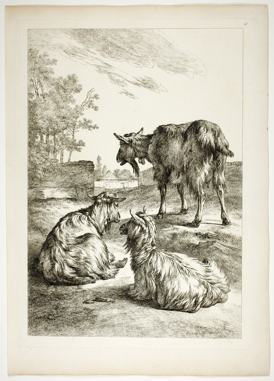 Lámina dieciocho de 38 de Oeuvres de J. B. Huet de Jean Baptiste Huet