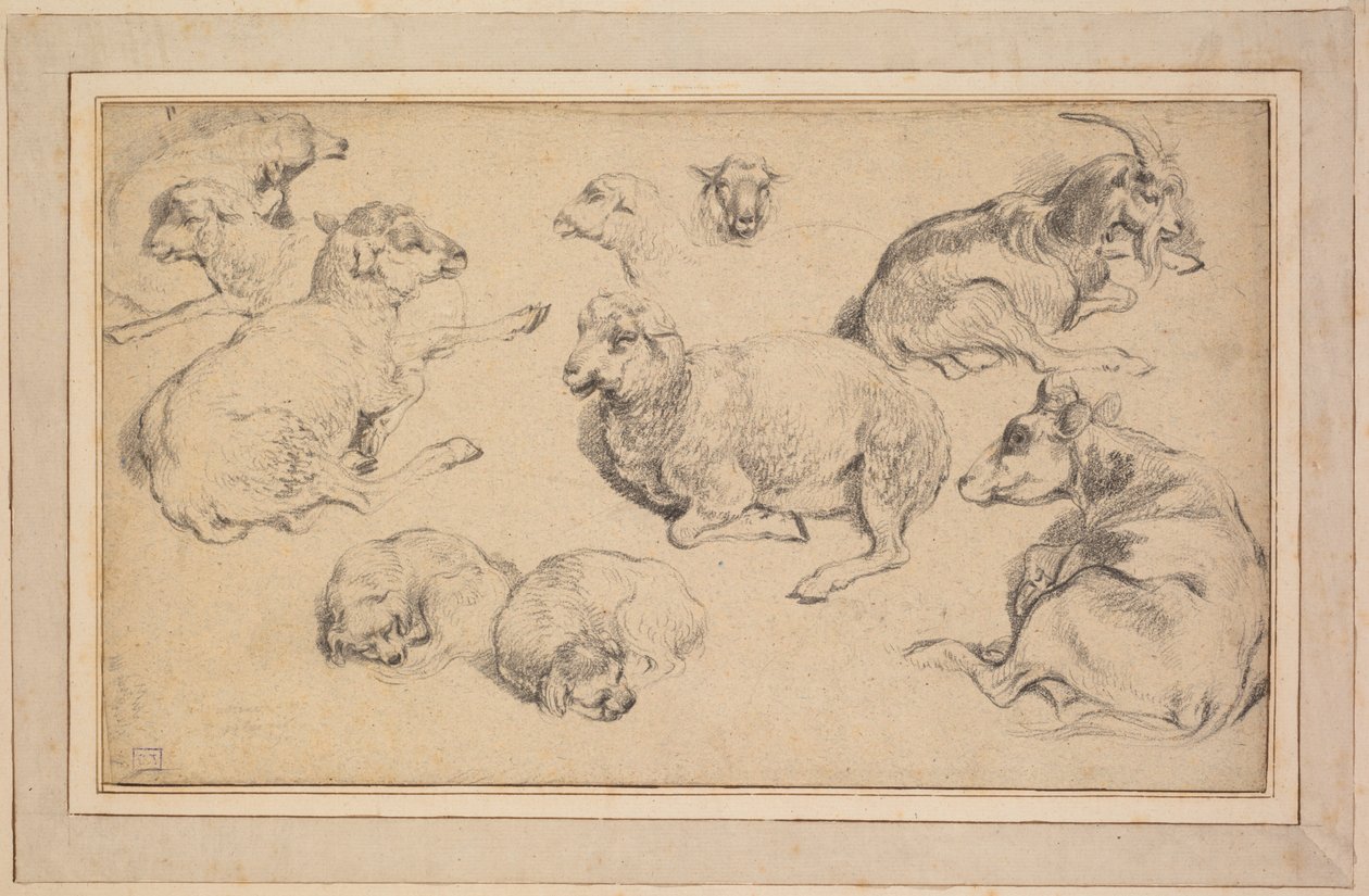Hoja de estudios con ovejas, cabras y perros, c. 1780 de Jean Baptiste Marie Huet