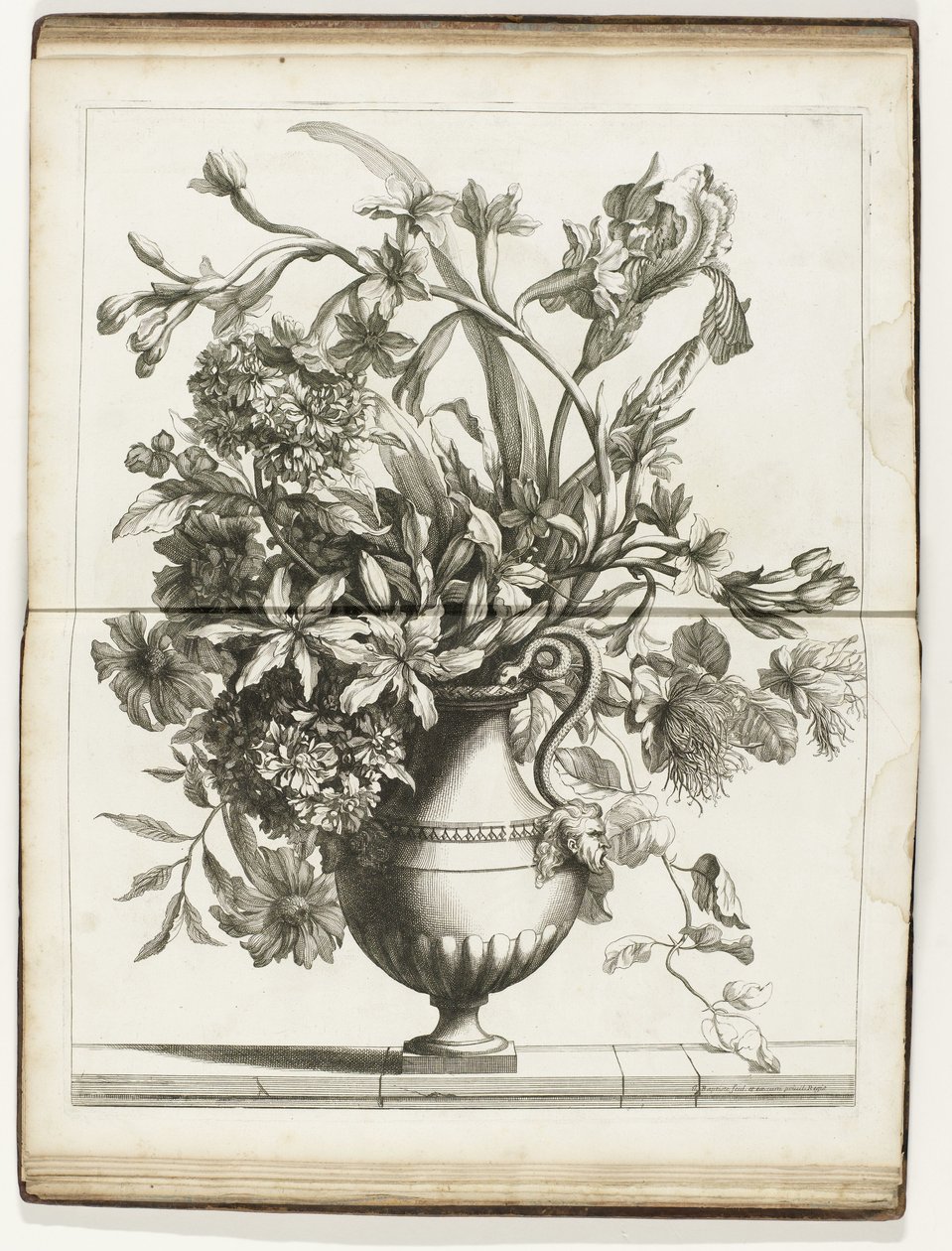 Bloemenvaas Libros de varios Vazes of Flowers hechos después de lo natural (título de la serie) de Jean Baptiste Monnoyer
