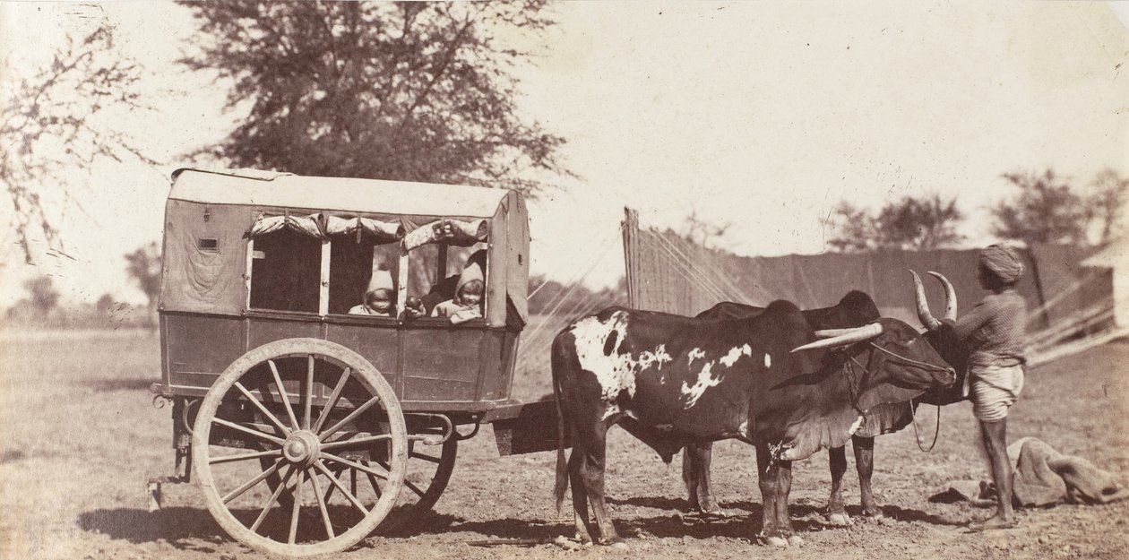 [Gemelos Campbell en un Shigram, Campamento del Gobernador General] de Jean Baptiste Oscar Mallitte