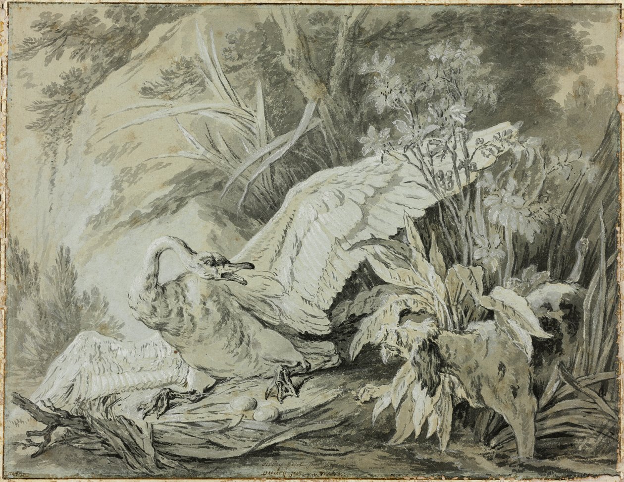 Un cisne salvaje atacado por un perro de Jean Baptiste Oudry