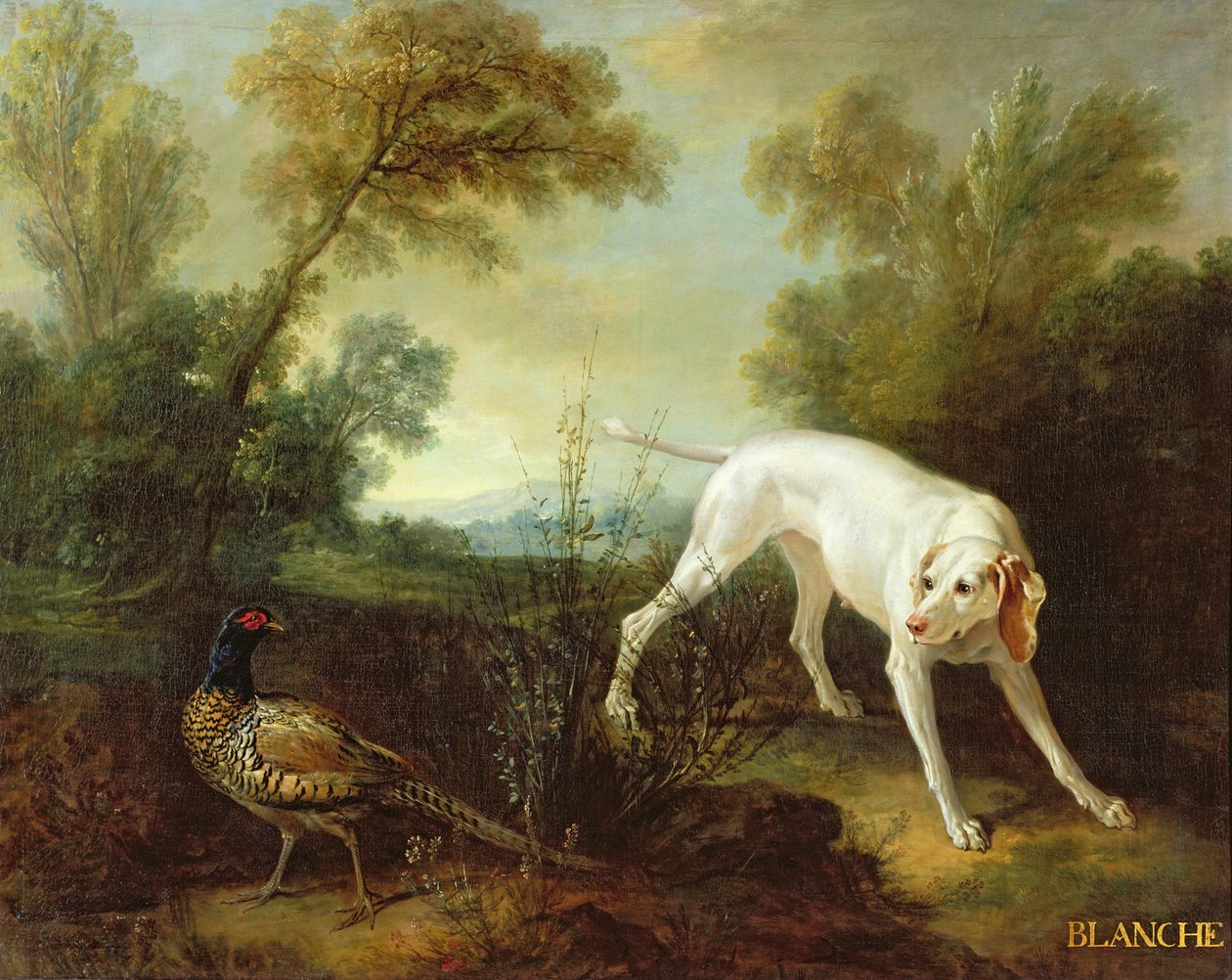 Blanche, perra del paquete de caza real de Jean Baptiste Oudry