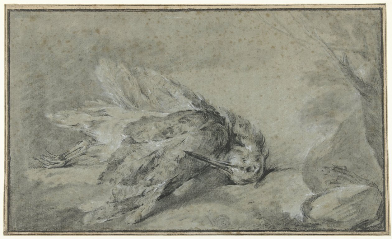 Becada muerta (Scolopax rusticola) de Jean Baptiste Oudry