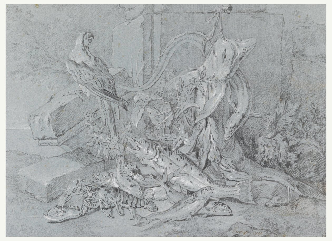 Dibujo, Naturaleza muerta con pez y loro, 1740 de Jean Baptiste Oudry