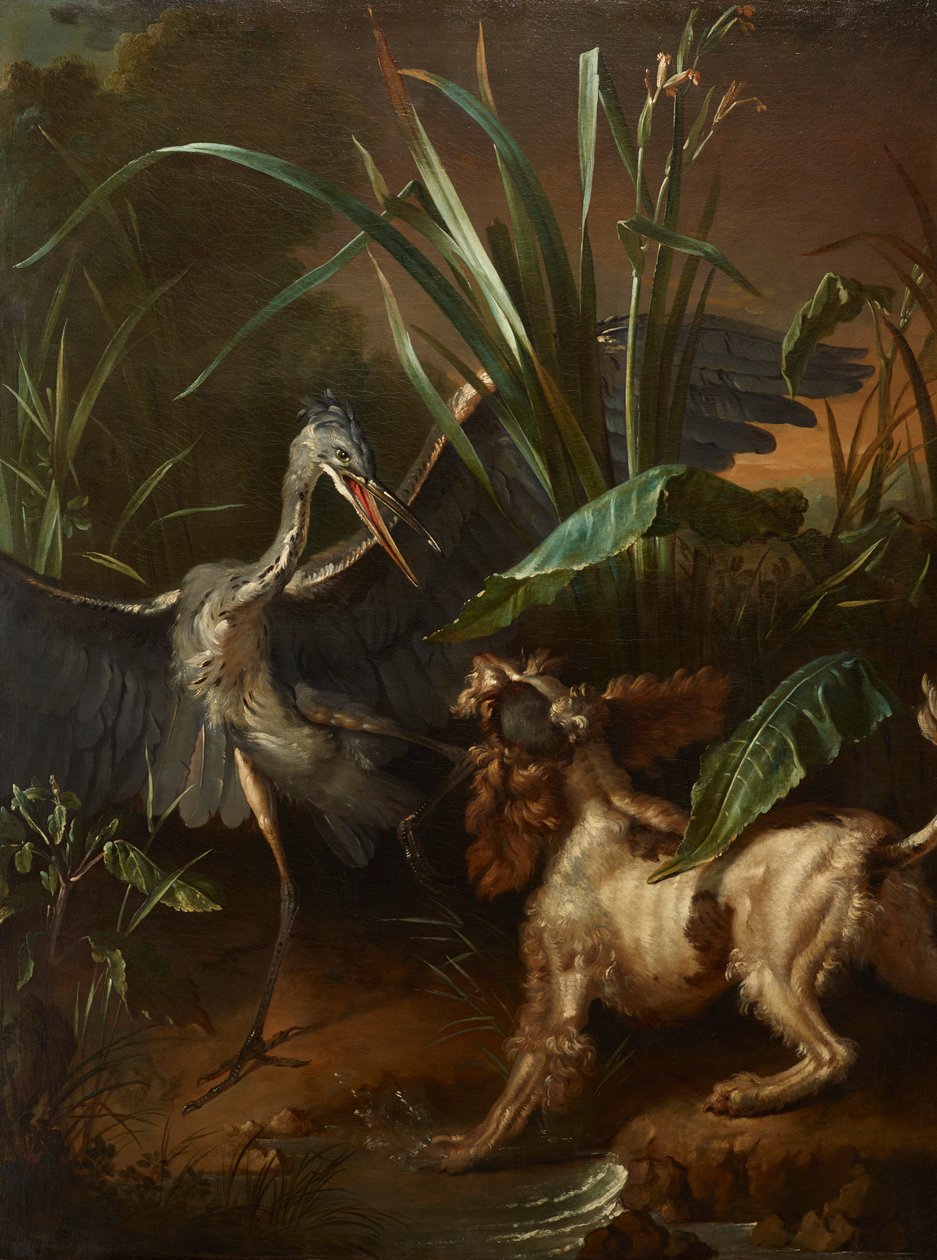 Perro de aguas enfrentándose a una garza de Jean Baptiste Oudry