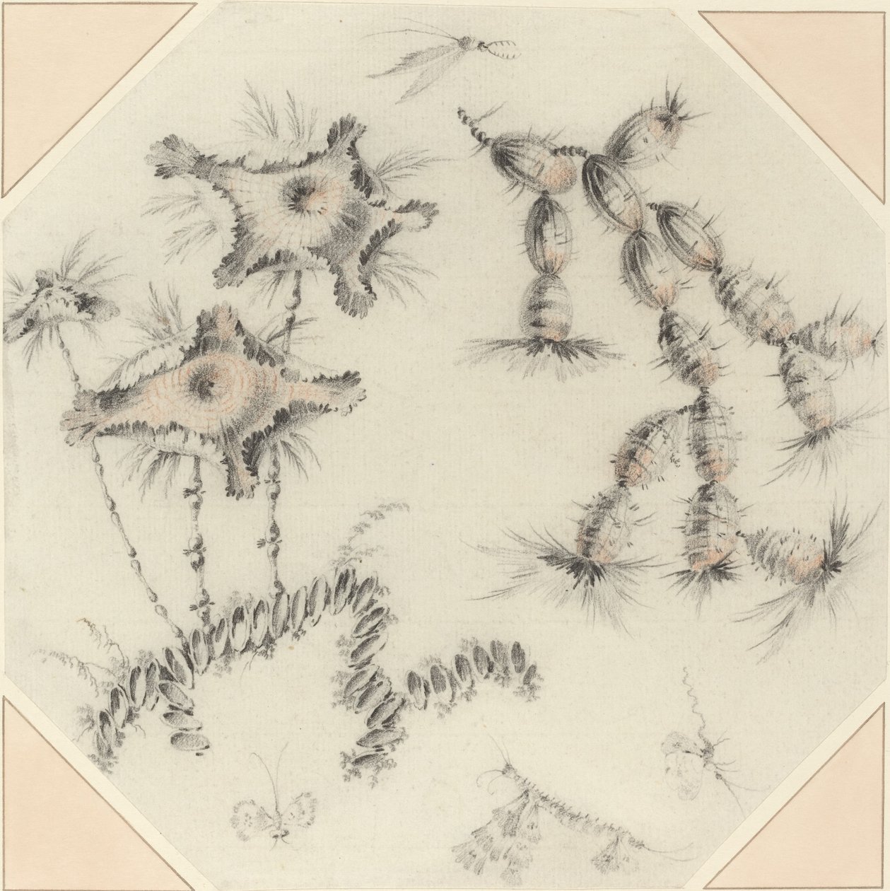 Flores de bambú y cactus de Jean Baptiste Pillement