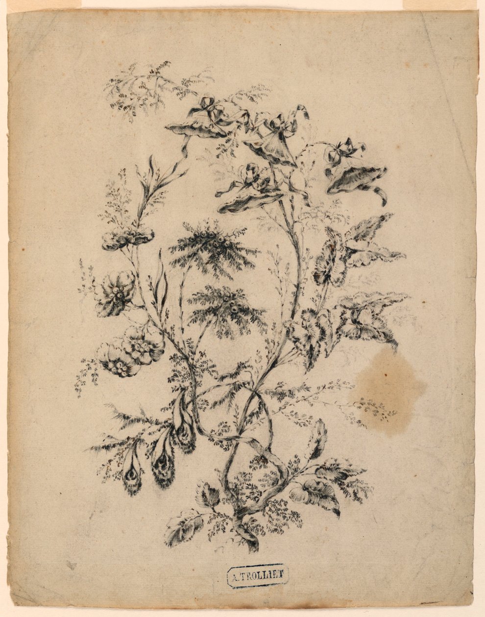 Dibujo, Rama de un árbol fantástico, 1775-1800 de Jean Baptiste Pillement